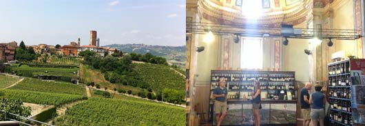 Visit Hamlet of Barbaresco, winery Produttori del Barbaresco, Langhe Region and more
