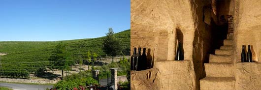 Visit Ponzano Monferrato for a wine tasting and a light lunch at the winery “Alemat”