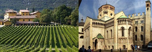 Malpensa airport traveling to the Tenuta San Leonardo winery located in the Trentino Region.
