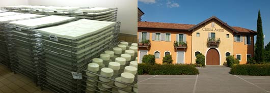 Learn about the production of cheese in Italy