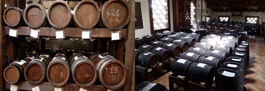 Visit a “Acetaia” specialized in the production of “Aceto Balsamico Tradizionale di Modena” and Lambrusco wine