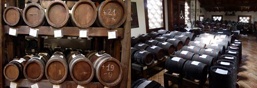 Visit a “Acetaia” specialized in the production of “Aceto Balsamico Tradizionale di Modena” and Lambrusco wine Visit a “Acetaia” specialized in the production of “Aceto Balsamico Tradizionale di Modena” and Lambrusco wine